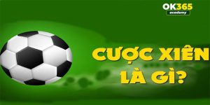 Cược xiên bóng đá - Liều thì ăn nhiều