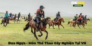 Đua ngựa OK365 bộ môn gây nghiện người chơi Việt Nam